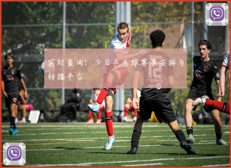 实时查询:今日乒乓球赛事安排与转播平台