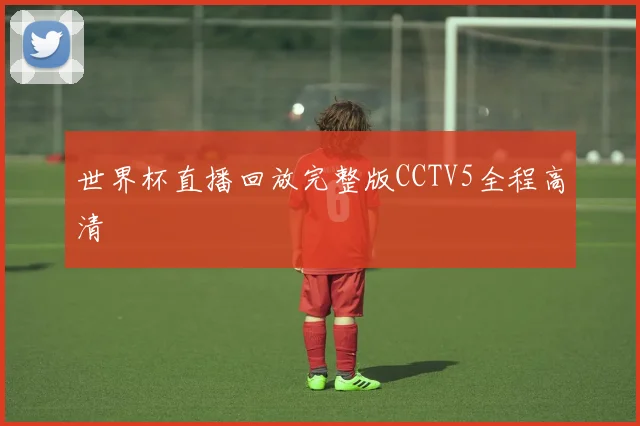 世界杯直播回放完整版CCTV5全程高清
