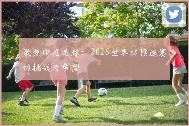 聚焦印尼足球:2026世界杯预选赛的挑战与希望